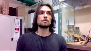 One of biggest pre-historic crocodile species found in Queensland