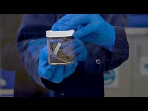 Sampling 101: Jars and Headspace