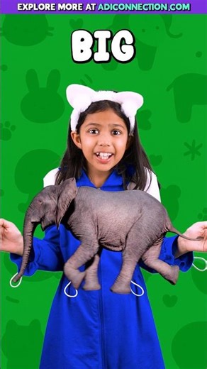 Learn Opposites Song 👉 This is big big big... | Kids English Vocabulary | Adi Connection #shorts