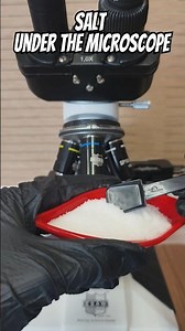 Salt Under Microscope 😱 What’s Inside? 🔬🧂 #shorts #microscope #salt #biolgy #reels #ytshorts