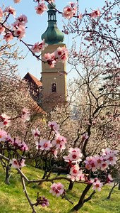 15K views · 1.4K reactions | The most romantic place in Prague today  Petřín hill  | PragueToday | Facebook