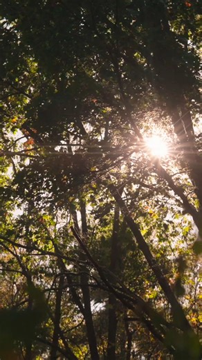 This song was written for the moments after goodbye — when life keeps moving and you begin to notice how love shows up in new ways. It’s for the days when memories surface unexpectedly and little signs start to carry more meaning than words ever could. Not in a heavy way, but as gentle reminders that connection doesn’t disappear — it simply changes. Robin Redbreast lives in that space. It’s about honoring what was, carrying love forward, and finding comfort in the idea that we’re never truly alo