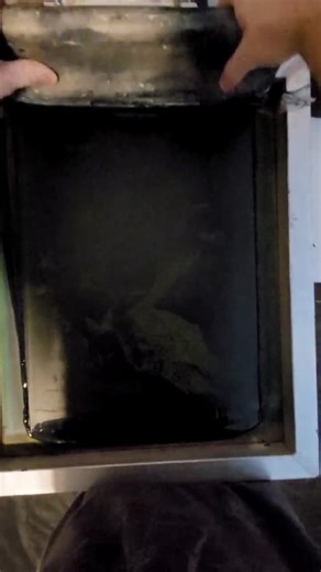 Osprey Anatomy T-shirt: Hand-drawn Fish Hawk Biology Diagram - Etsy