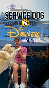 85K views · 902 reactions | Will they allow Whitney, my service dog,...