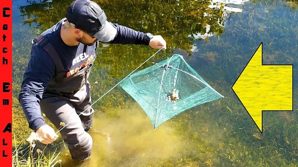 Umbrella Fish Trap Catches EVERYTHING!