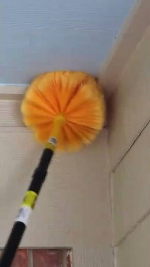 Get Rid of Mud Daubers Fast With This Short & Simple Guide!