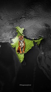 27K views · 392 reactions | State Animals. Do you know about your State? #education #reels #map #states #animals @top fans | The Geo Explorer | Facebook