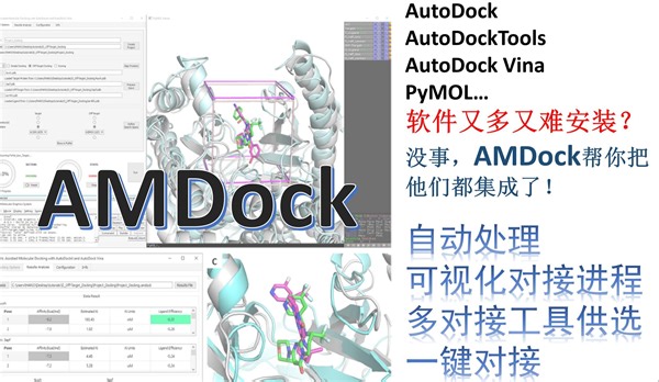 AMDock 学习视频