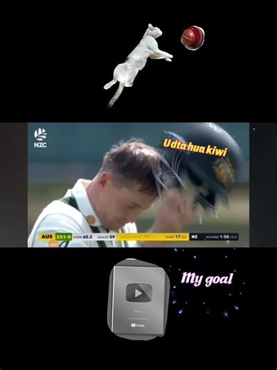 Udta hua kiwi 🪽🪽 #dynamic #shorts