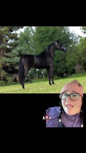 2.7K reactions · 13 shares | Part 1 of 2026 foals | Becca Hammon | Facebook