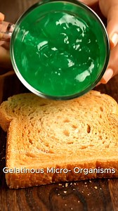 185K views · 513 reactions | You’ve NEVER seen anything breading like this. #SatisfyingVideos #OddlySatisfying #ASMR #viralreels #reels | SMILE ASMR | Facebook