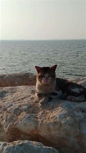 ١٦ مارس ٢٠٢٦