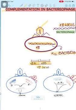 Complementation in Bacteriophage#csirnet Genetics #Microbiology #BiologyBasics #LifeSciences #Shorts