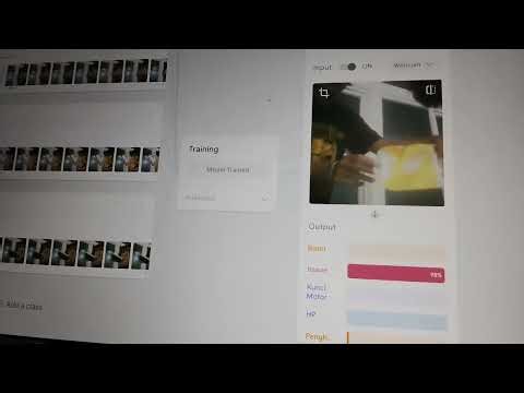 Image Model Praktek Teachable Machine (Zidane Shafi)