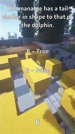 The manatee has a tail similar in shape to that of the dolphin.