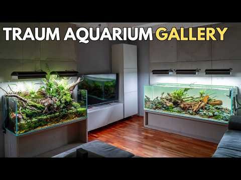 Every aquascaper's dream - Mega Aquascapes at Mario's Home