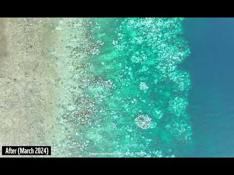 Before and After: Great Barrier Reef Coral Bleaching