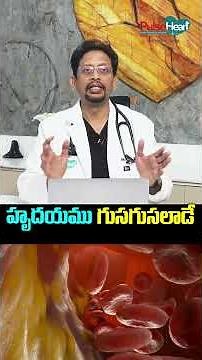 హృదయము గుసగుసలాడే…| Heart Murmurs Explained Simply