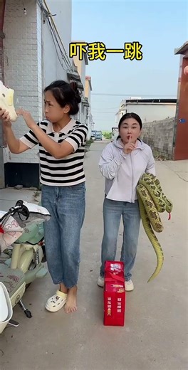 Love Incentive Program Why is Peach gone?Prank Video#Funny and Entertainment Video#Short Feed#