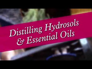 Distilling Hydrosols & Essential Oils