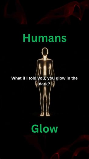 Humans glow - Did you know fact ?