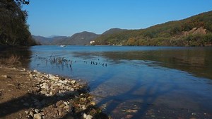 Colorful Fall Foliage Trees Beautiful Lake Stock Footage Video (100% Royalty-free) 1042851844 | Shutterstock