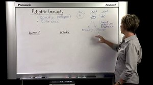 IMMUNITY 3. Adaptive Immunity