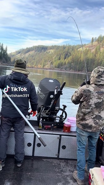 Steelhead Fishing Techniques on Clearwater River