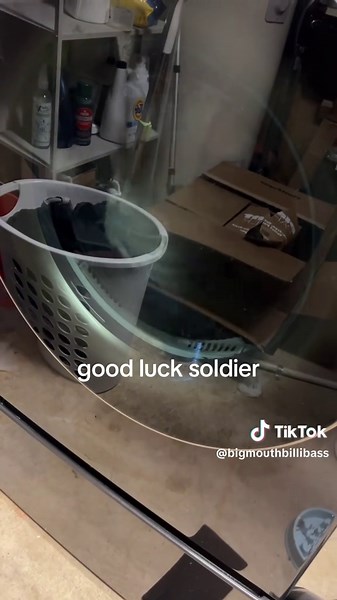 he was dirty 💔 brought him on a plane and idk what they did to him in the cargo hold