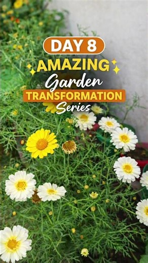 So Many Flowers in My Garden 🌼 | Day 8 Garden Transformation #gardenplanning #gardenvisit