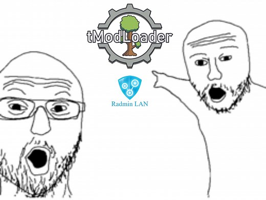 教你如何使用Radmin LAN和好友一起联机玩tModLoader！