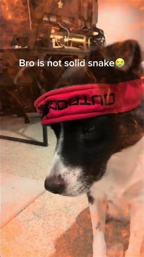 She is NOT solid snake #meme