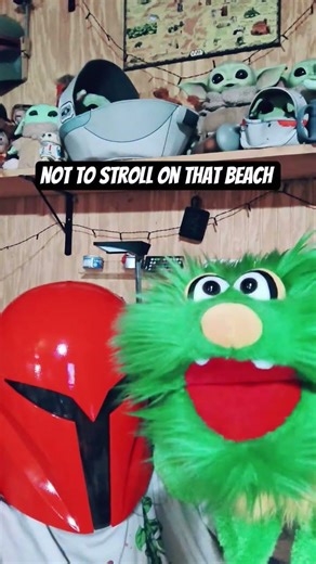 SeaGulls, Stop It Now!