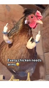 55K views · 1.1K reactions |  #middlefinger | Middle Finger | Facebook