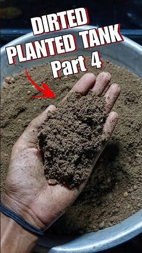 Making a Dirted Planted Tank🌿 (Part 4) #shorts #viral #aquarium #aquaticspets