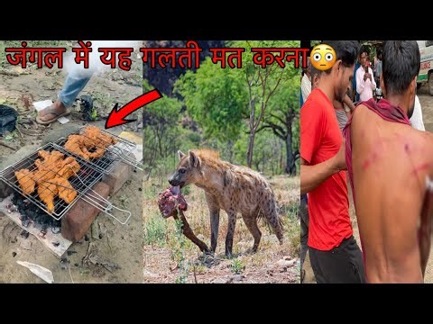 The Hyena Came Smelling The Chicken😱Jungle Safari Hyena Attack | Wildlife Attack Tiger Attack Vlog
