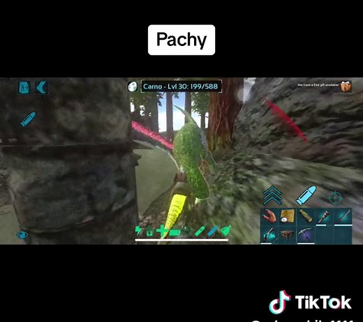 Taming Pachy in Ark Survival Evolved