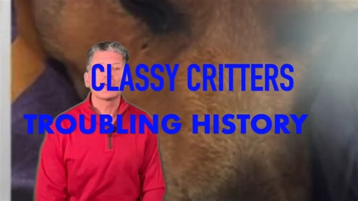 🚨 CLASSY CRITTERS : TROUBLING HISTORY 🚨 Viral videos, a criminal investigation, and Classy Critters in Mooresville, NC is still open. Former employees and customers speaking out saying these incidents aren't anything new and claim they go back to the days when Pam Byars ran Classy Critters in Georgia. #dog #dogs #puppy #puppies #groomers #animals #animalcruelty #animalcrueltyawareness #animalwelfare #animaladvocate #animalreform #animalwelfare #animallover #DogLovers #ViralVideo #ClassyCritter