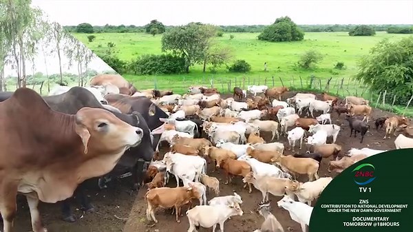 2.8K views · 123 reactions | Zambia National Service on Reels | Facebook