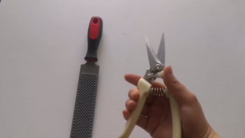 Goat Hoof Trimmers with 8-inch Hoof Rasp File,Goat Clippers for Hooves-Nail Clippers for Goat Sheep, Alpaca, Lamb, Pig, Hoof Rasp File, Hoof Rasp Goat,Hoof Trimmers, silver