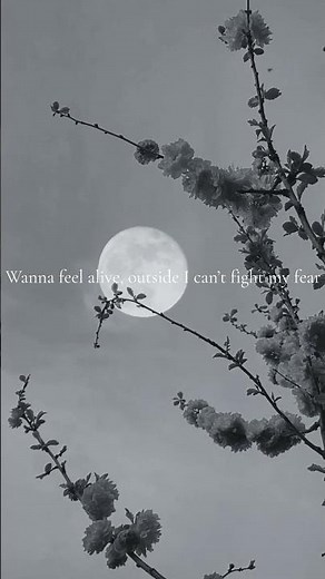 Lovely – Billie Eilish | Slowed + Reverb | Chill Vibes #music #trending #viral