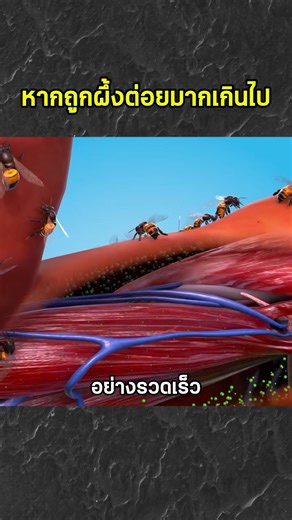 What happens if you get stung by a bee too much?