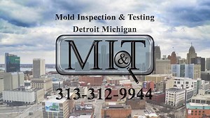 Mold Inspection & Testing Detroit Michigan