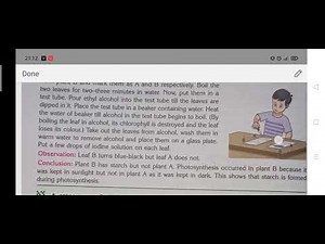 Class 7/Chapter 4/Photosynthesis/Part 2