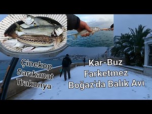 Kar-Kış Engel Değil - İstanbul Boğazı Balık Avı - Çinekop | Sarıkanat | Dev Trakonya - 23 Ocak 2022