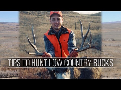 Tips for Hunting Mule Deer - Low Country Western Deer Hunting