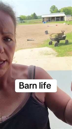 Embracing Barn Life: Finding Your Farm Vibe