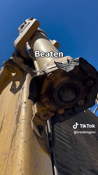 Exploring Car Culture: A Wheelchair User's Journey