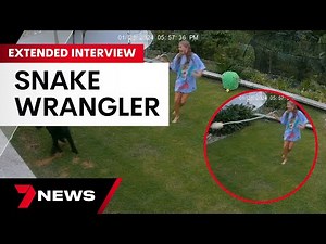 Meet the 12-year-old girl who took on a snake to save her guinea pig | 7 News Australia