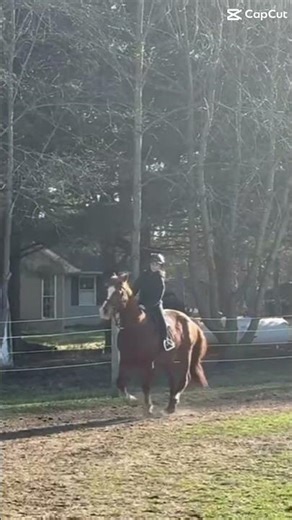 Holy transition🤩! The sun glare was rlly bad yesterday tho